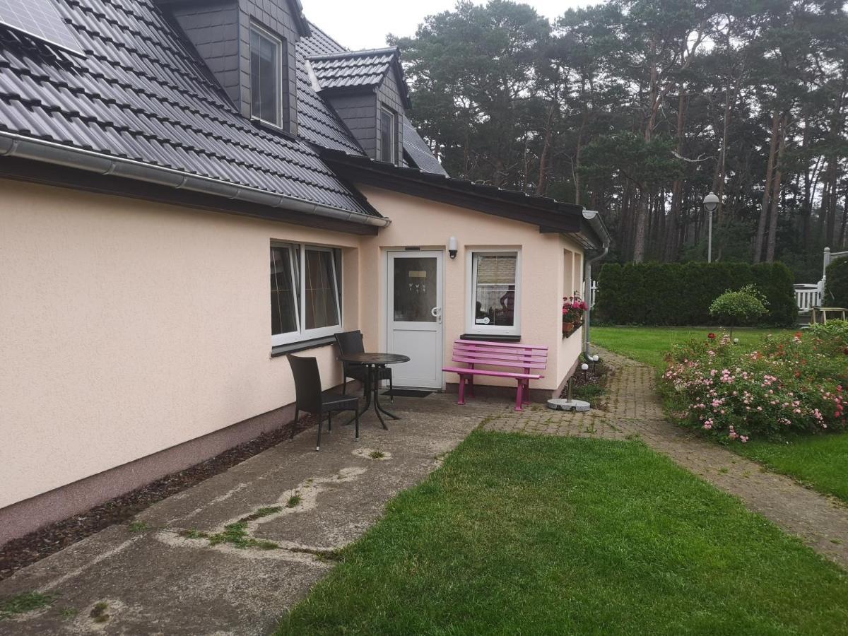 Renken Apartment